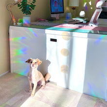 Load image into Gallery viewer, The Rosy Redhead Suncatcher Decal Rainbows