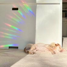 Load image into Gallery viewer, The Rosy Redhead Suncatcher window decal rainbow positivity