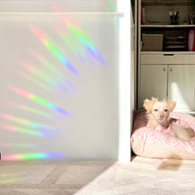 Load image into Gallery viewer, The Rosy Redhead Suncatcher Decal happy rainbows