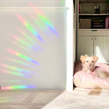 Load image into Gallery viewer, The Rosy Redhead Suncatcher Decal happy rainbows